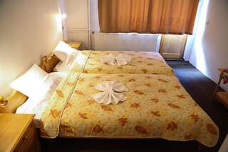 Отель Отел Бисер Банско Двухместный номер с 1 кроватью или 2 отдельными кроватями-2