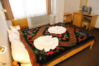 Отель Отел Бисер Банско Двухместный номер с 1 кроватью или 2 отдельными кроватями-13